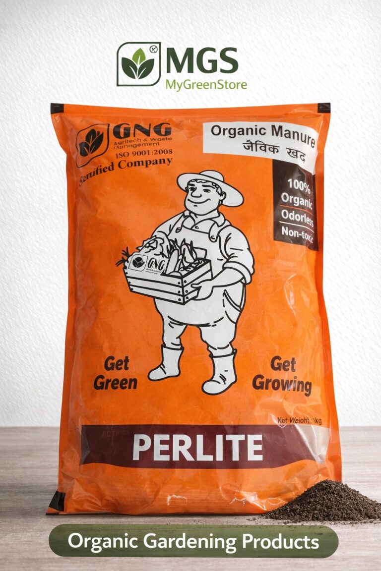 WhatsApp Image 2026-01-07 at 9.21